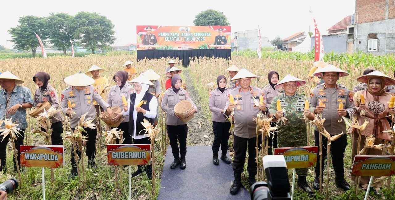 Polda Jatim Gelar Panen Raya Jagung Serentak Kuartal IV di Sidoarjo