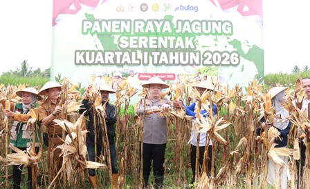 Polres Malang Panen Raya Jagung, Hasil 8 Ton untuk Dukung Stok Pangan